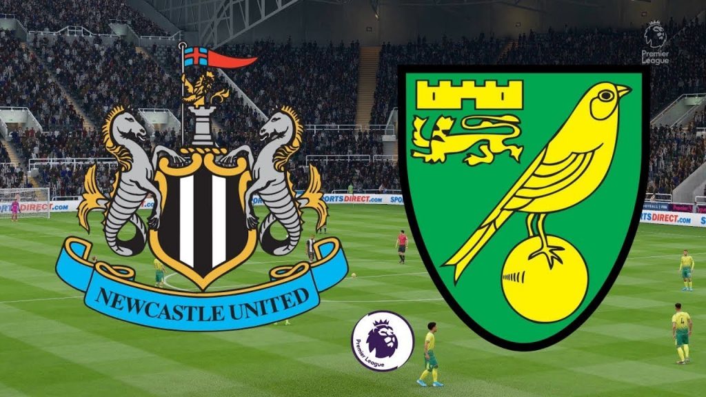 nhan-dinh-bong-da-anh-newcastle-vs-norwich-22h00-01-02-2020-o8-00