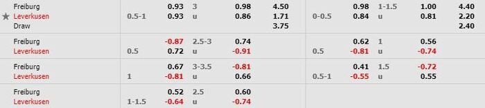 Tỷ lệ kèo bóng đá Freiburg vs Leverkusen - Bundesliga - 30/05/2020