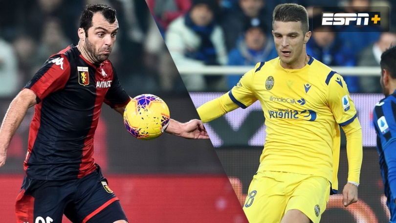 Genoa-vs-Verona-soi-keo-1